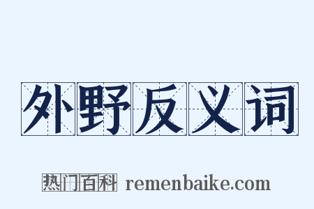 外野反义词是什么意思的图片
